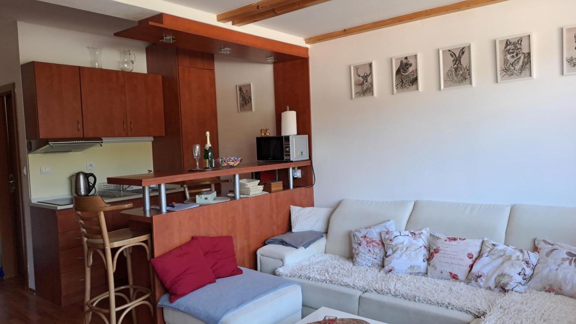 Mezonetovy Apartman V Oscadnici Ошчадница Экстерьер фото